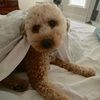 tuckclothes